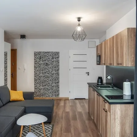D Z Sauna, Sun & Snow Apartment *